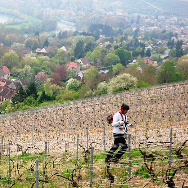 Débroussaillage Débroussaillage <small>© </small>