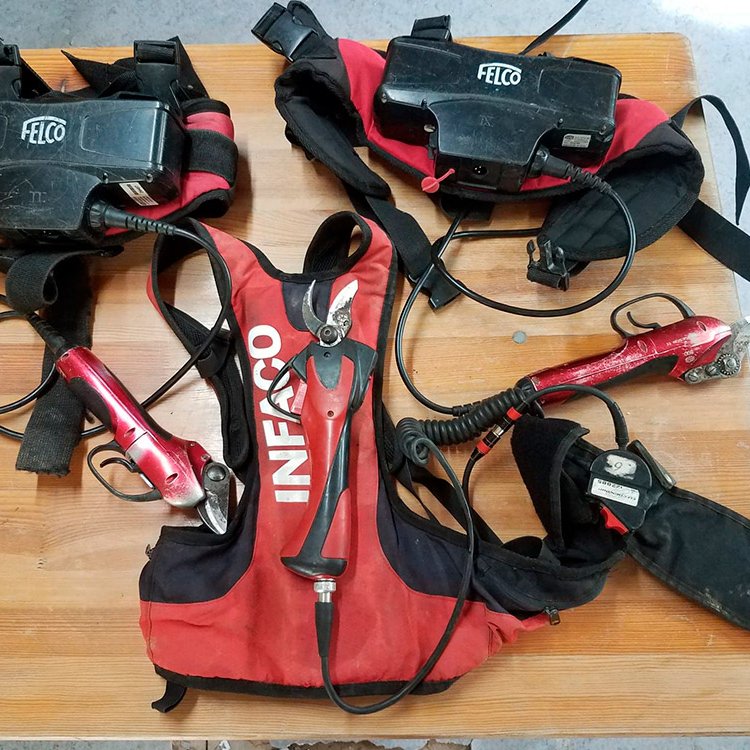 Sécateurs électriques Sécateurs électriques <small>© </small>