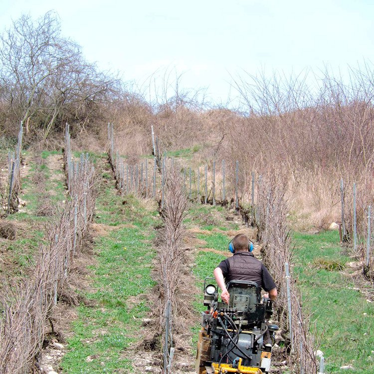 Griffage en chenillard Griffage en chenillard <small>© </small>