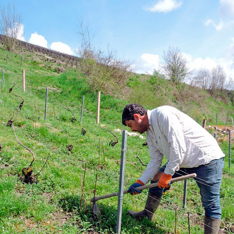 Binage Binage <small>© </small>