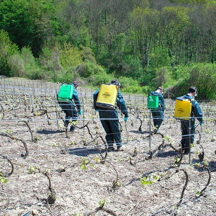 Désherbage Désherbage <small>© </small>